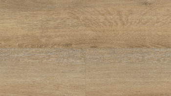 Wineo Rigid Klick Vinyl - 400 wood XL Joy Oak Tender | Trittschalldämmung integr. (RLC126WXL)