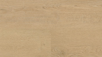 Wineo Klebevinyl - 400 wood L Plain Oak Beige | Synchronprägung (DB281WL)