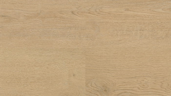 Wineo Klick Vinyl Multilayer - 400 wood L Plain Oak Beige | Trittschalldämmung integr. (MLD281WL)