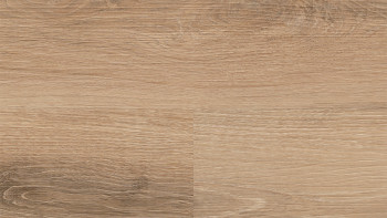 Wineo Klebevinyl - 400 wood L Vivid Oak Nature | Synchronprägung (DB283WL)