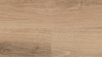 Wineo Klick Vinyl Multilayer - 400 wood L Vivid Oak Nature | Trittschalldämmung integr. (MLD283WL)