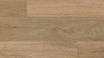 Wineo Klebevinyl - 400 wood XS Vivid Oak Nature Fischgrät | Synchronprägung (DB283WXS)