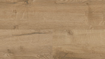 Wineo Klick Vinyl Multilayer - 400 wood XL Comfort Oak Nature | Trittschalldämmung integr. (MLD291WXL)