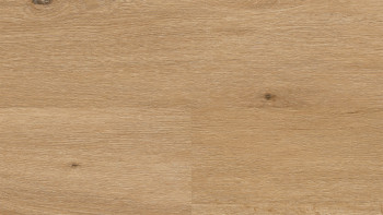 Wineo Klick Vinyl Multilayer - 400 wood XL Country Oak Nature | Trittschalldämmung integr. (MLD294WXL)