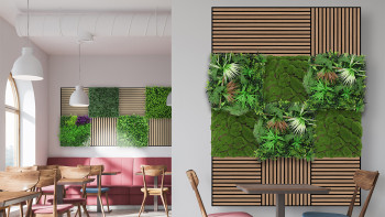 planeo Akustikpaneel - MixWall Timber Solid Flare Oak 52 x 104 cm | Echtholzfurnier (PLMW-00411A)