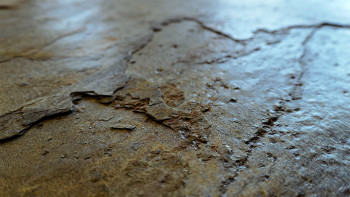 planeo EVOLITH Slate&Stone - Naturstein Wandverkleidung Oxide Wood 1220 x 610 mm