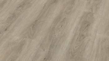 Wineo Klebevinyl - 600 wood XL Paris Loft (DB199W6)