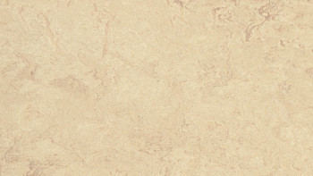 Forbo Linoleum Marmoleum Real - calico 2713-2.5