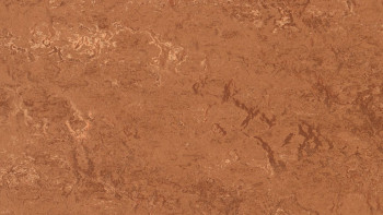 Forbo Linoleum Marmoleum Real - rust 2767-2.5