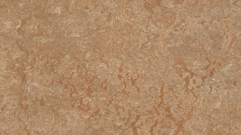 Forbo Linoleum Marmoleum Real - shitake 3233-2.5