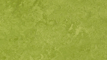 Forbo Linoleum Marmoleum Fresco - green 3247-2.5