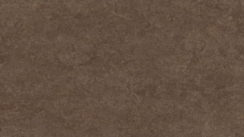 Forbo Linoleum Marmoleum Fresco - walnut 3874-2.5