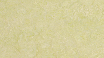 Forbo Linoleum Marmoleum Real - green wellness 3881-2.5 - 2.5mm