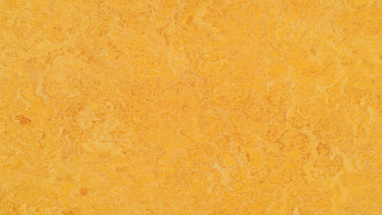 Forbo Linoleum Marmoleum Real - dandelion 3225-2.5