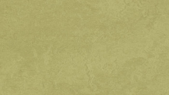 Forbo Linoleum Marmoleum Fresco - avocado 3265-2.5