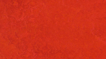 Forbo Linoleum Marmoleum Klick - Scarlet - 333131
