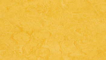 Forbo Linoleum Marmoleum Fresco - lemon zest 3251-2.5 - 2.5mm