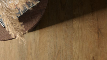 planeo Klebevinyl - Objekt Woodline Eiche Gold | Synchronprägung (PLDD2570-EGO)