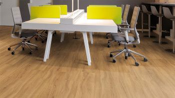 planeo Rigid Klick Vinyl - FlexCore 55 Pure Oak | Trittschalldämmung integr. (plfc-5122FS55)