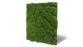 planeo Akustikpaneel - MixWall Moss Mood Forest Green Big Bulk 52 x 52 cm | Kunst-Moos (PLMW-00211C)