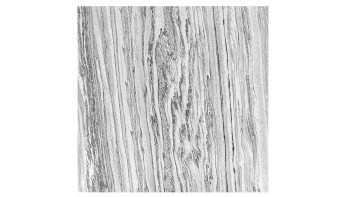 planeo Akustikpaneel - MixWall Mineral Mood Polar Marble 52 x 52 cm | Echtstein (PLMW-10411C)