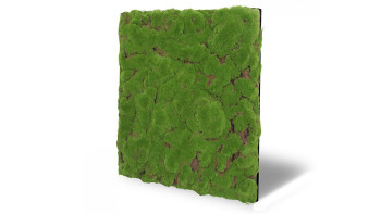 planeo Akustikpaneel - MixWall Moss Mood Forest Green Bulk 52 x 52 cm | Kunst-Moos (PLMW-20211C)
