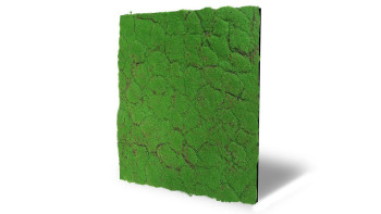 planeo Akustikpaneel - MixWall Moss Mood Forest Green 52 x 52 cm | Kunst-Moos (PLMW-30121A)