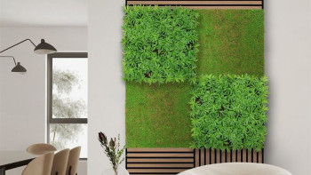 planeo Akustikpaneel - MixWall Living Leaf Podocarpus Tea Tree 52 x 52 cm | Naturpflanze (PLMW-40111)