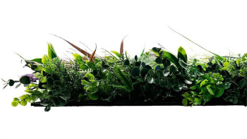 planeo Akustikpaneel - MixWall Leaf Mood Exotic Mixed Flora 52 x 52 cm | Kunstpflanze (PLMW-71111)