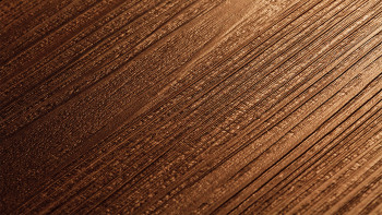 Project Floors Klebevinyl - floors@work55 PW 3535/55 | Synchronprägung (PW353555)