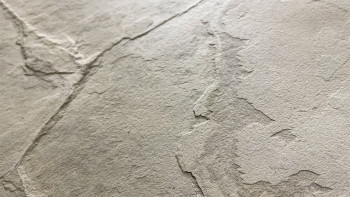 planeo EVOLITH Slate&Stone - Naturstein Wandverkleidung Siena Dust 1220 x 610 mm