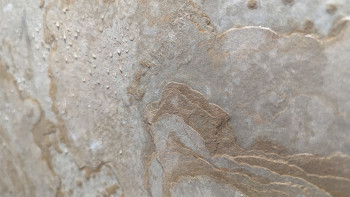 planeo EVOLITH Slate&Stone - Naturstein Wandverkleidung Siena Dust 1220 x 610 mm