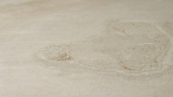 planeo EVOLITH Slate&Stone - Naturstein Wandverkleidung Siena Dust 1220 x 610 mm