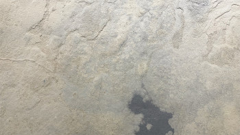 planeo EVOLITH Slate&Stone - Naturstein Wandverkleidung Siena Dust 1220 x 610 mm