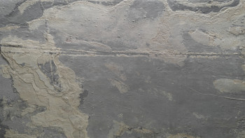 planeo EVOLITH Slate&Stone - Naturstein Wandverkleidung Terracrust 1220 x 610 mm
