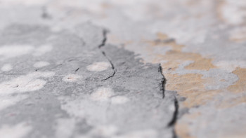 planeo EVOLITH Slate&Stone - Naturstein Wandverkleidung Terracrust 1220 x 610 mm