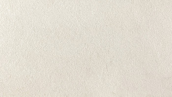 planeo EVOLITH Slate&Stone - Naturstein Wandverkleidung White Core 1220 x 610 mm