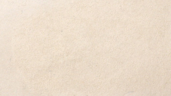 planeo EVOLITH Slate&Stone - Naturstein Wandverkleidung White Core 1220 x 610 mm