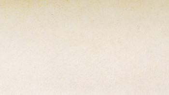 planeo EVOLITH Slate&Stone - Naturstein Wandverkleidung White Core 1220 x 610 mm