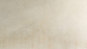 planeo EVOLITH Slate&Stone - Naturstein Wandverkleidung White Core 1220 x 610 mm