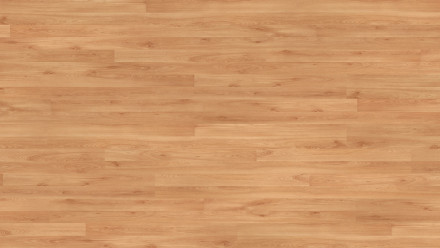 Parador Laminat - Basic 200 - Buche - Holzstruktur - 2-Stab Schiffsboden (1440984)