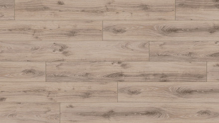 Parador Laminat Classic 1050 Eiche Tradition grau-beige Eleganzstruktur 4V-Fuge (1517691)
