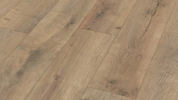 MEISTER MeisterDesign Boden - DD 500S / DB 500S Risseiche Terra (400004-1287220-06439 - 5972006439)