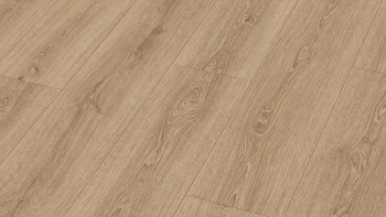 MEISTER MeisterDesign Boden - DD 500S / DB 500S Stieleiche natur (400004-1287220-06983 - 5972006983)