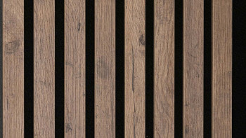 MEISTER Akustikpaneele Acoustic Sense Altholzeiche 7032