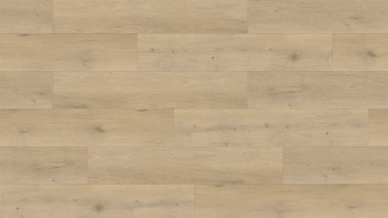 planeo Rigid Klick Vinyl - Coastline Oak | Trittschalldämmung integr. (DF-K-032-055)