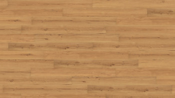 Wicanders Korkboden zum Klicken - Wood Essence Golden Prime Oak 10,5mm Kork - NPC versiegelt (D8F7002)