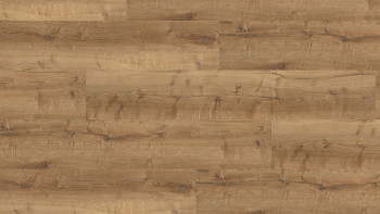 Wineo Rigid Klick Vinyl - 400 wood XL Comfort Oak Mellow | Trittschalldämmung integr. (RLC129WXL)