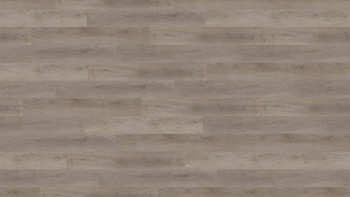 Wineo Klick Vinyl Multilayer - 400 wood L Balanced Oak Grey | Trittschalldämmung integr. (MLD287WL)