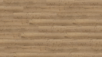 Wineo Klebevinyl - 400 wood XL Comfort Oak Nature | Synchronprägung (DB291WXL)